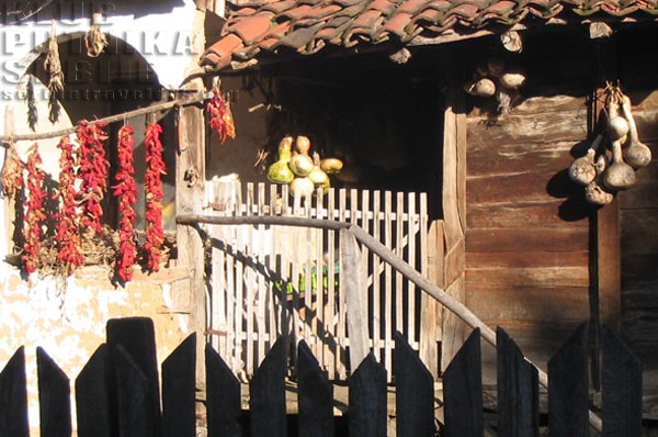 donja kamenica, stara planina