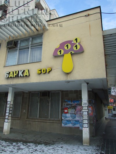 banka bor negotin negotin borska banka