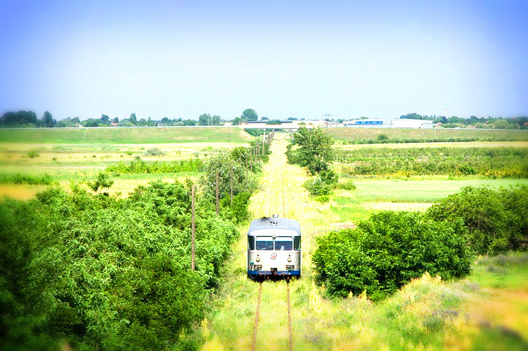 sinobus