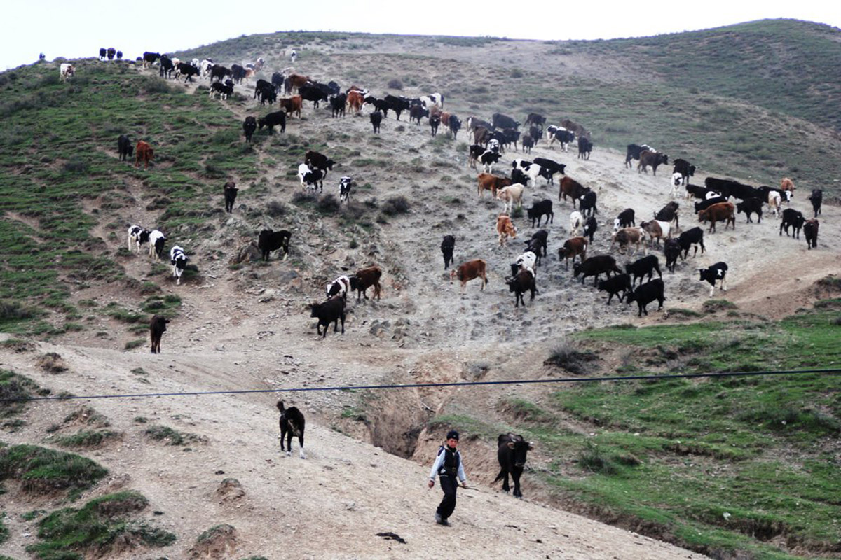 uzbekistan 02