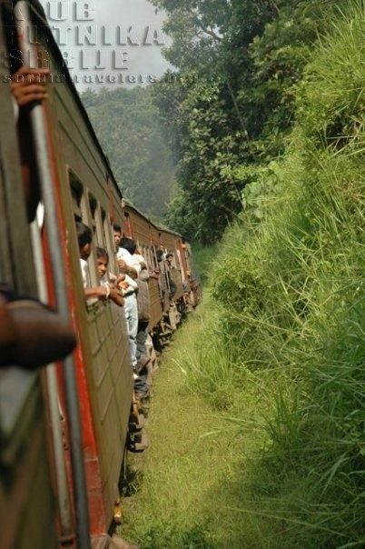 voz, Šri Lanka Sri Lanka train