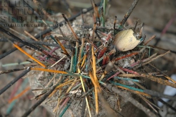 mirisni štapići, incense sticks