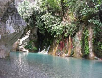 gojnuk, turska