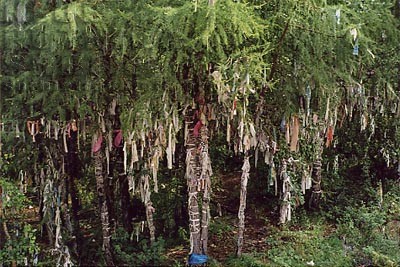 transsibirska zeleznica