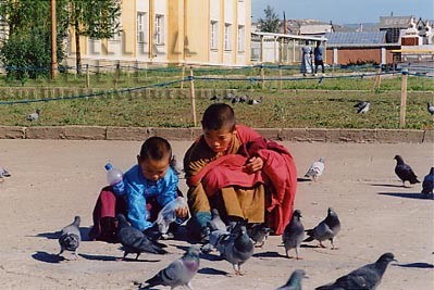 transmongolska pruga