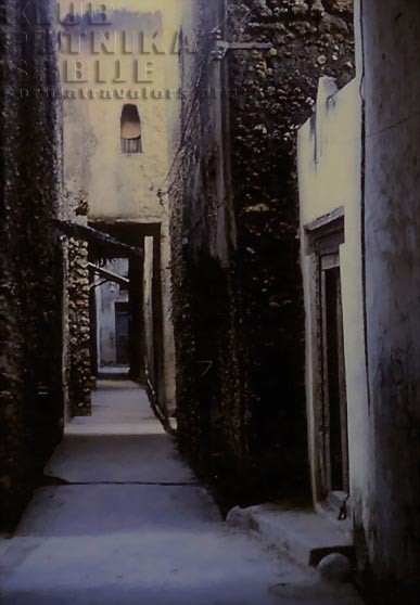 street in lamu island