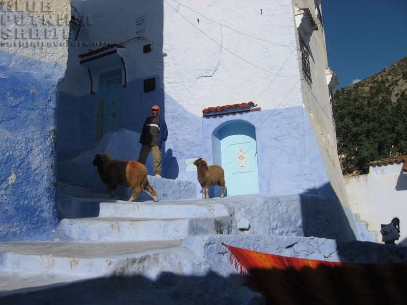 maroko