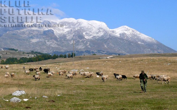 planina Sinjajevina