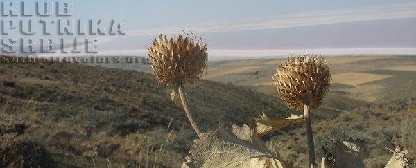 Tuz Gölü