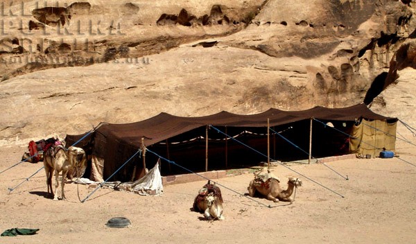 putopis Petra
