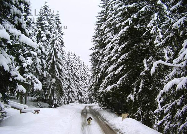 durmitor, zabljak