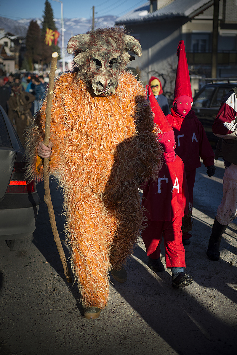 vevcani-carnival-08