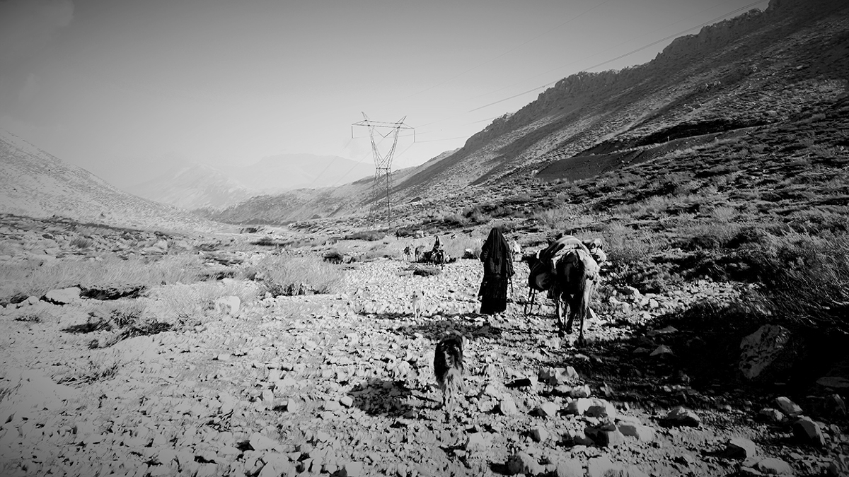 zagros bakhtiari 5
