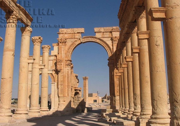palmira, palmyra
