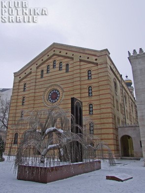 žalosna vrba u dvorištu sinagoge, Budimpešta / weeping willow in the sinagogue yard, Budapest