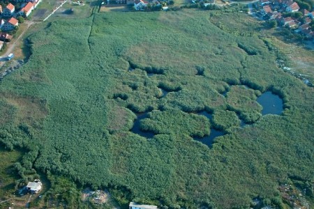 Između Pazova