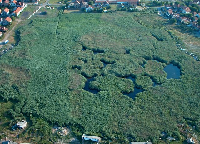 pogled-sa-visine