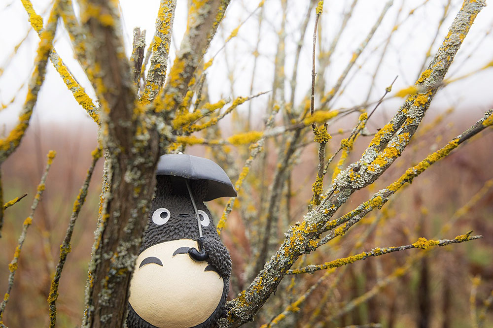 totoro