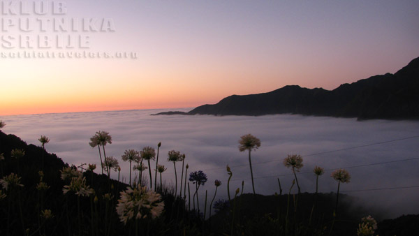 ostrvo madeira