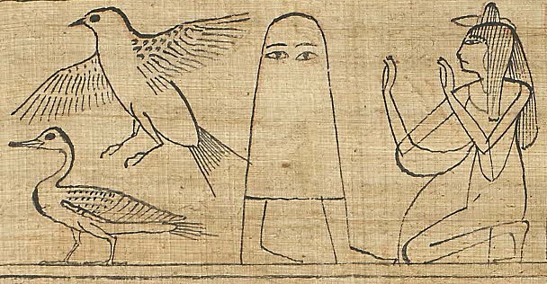 greenfield medjed