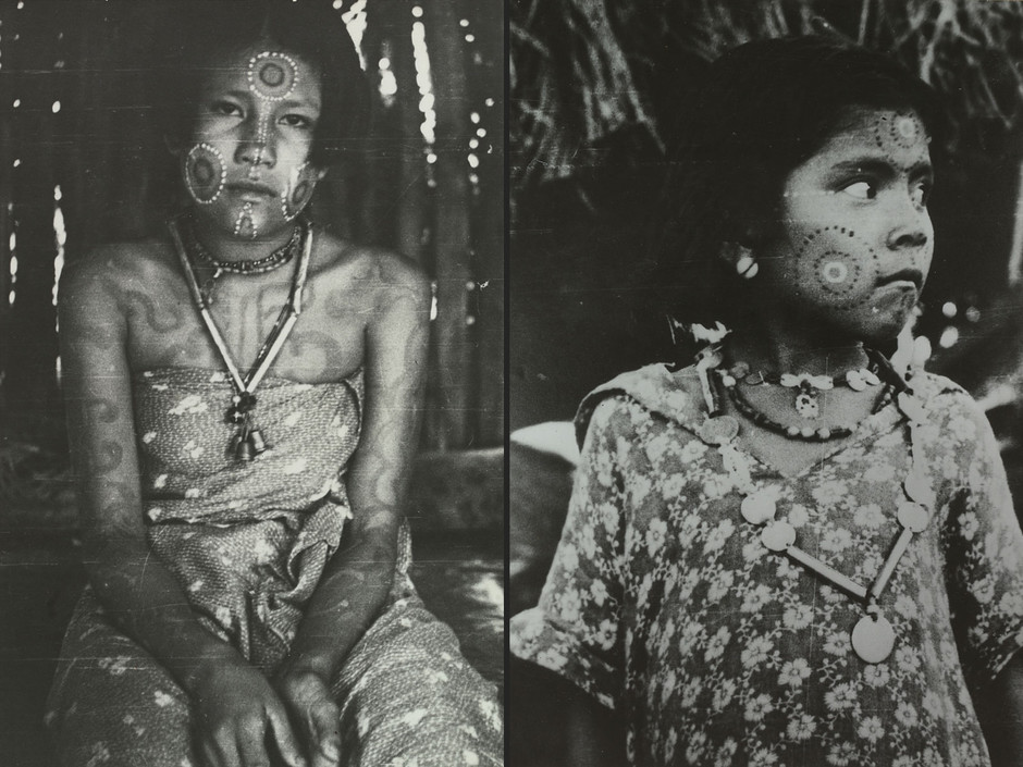 Tužni tropi XVIII: Pantanal