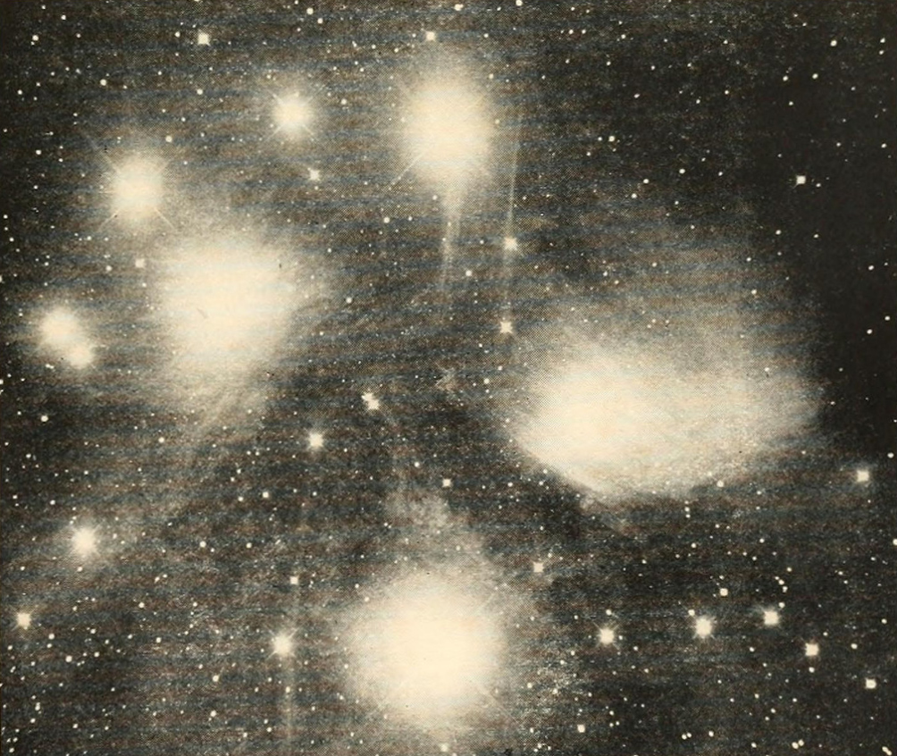 stars tuzni tropi