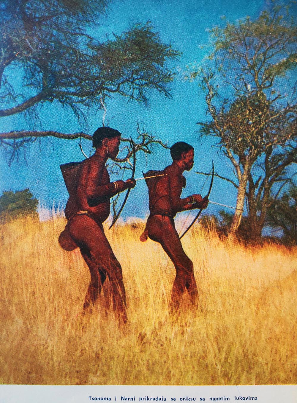 kalahari02