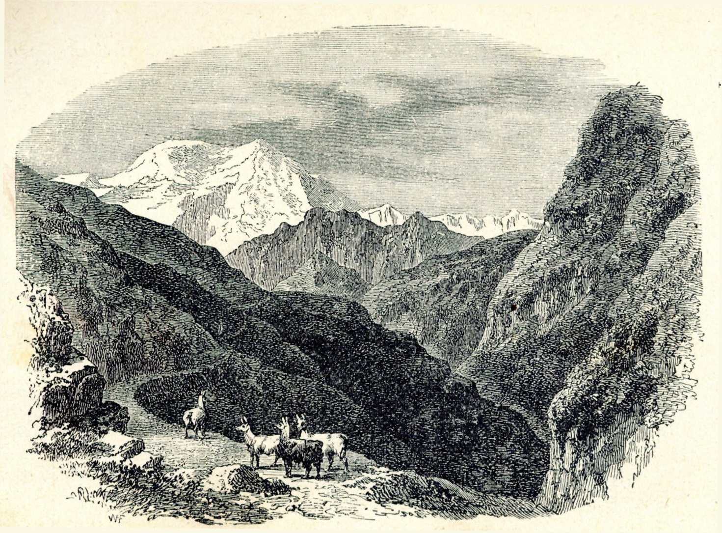planina 4